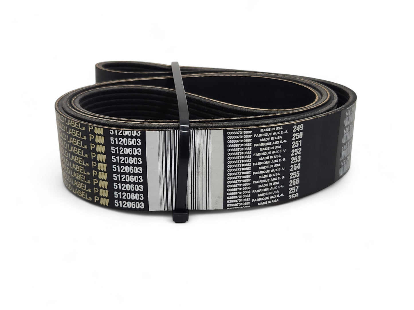 Dayco Poly Rib Gold Label Serpentine V-Ribbed Belt 5120603 - 12 Ribs