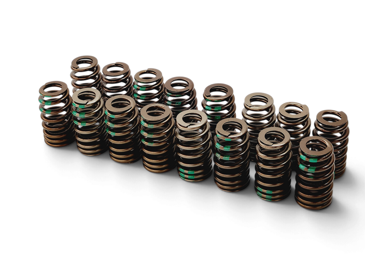 Send it Auto Parts set of 16 OEM GM 5.3L L83 valve springs with green identification marks on a white background.