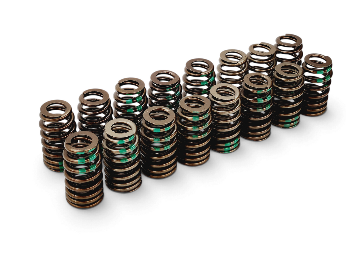 Send it Auto Parts set of 16 OEM GM 5.3L L83 valve springs with green identification marks on a white background