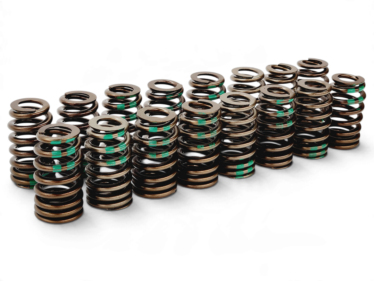 Send it Auto Parts set of 16 OEM GM 5.3L L83 valve springs with green identification marks on a white background