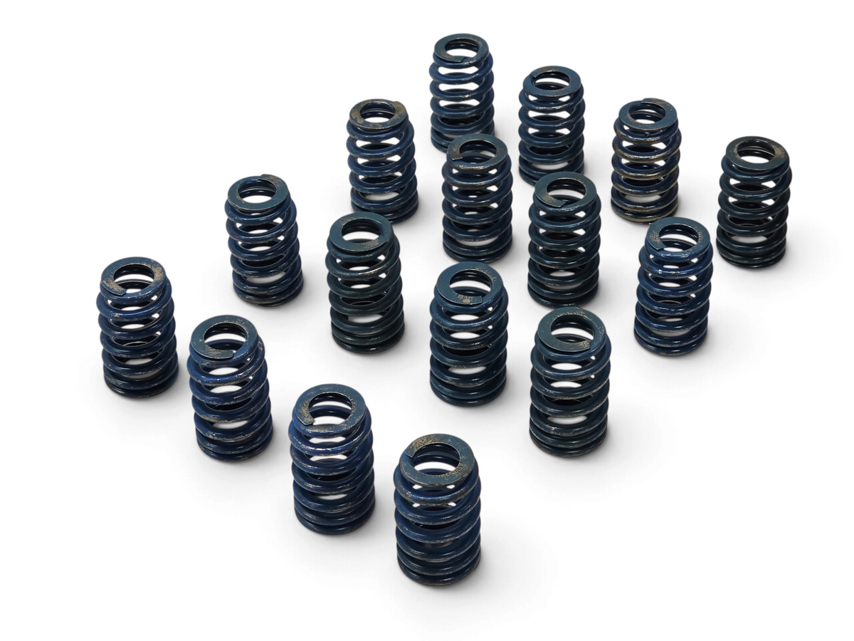 Send it Auto Parts set of 16 blue beehive valve springs for GM LS engines, showing high-performance design.