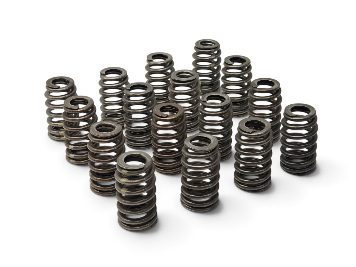 Send it Auto Parts set of 16 OEM beehive valve springs for Chevrolet Corvette C6 Z06 LS7 7.0L V8 engines.