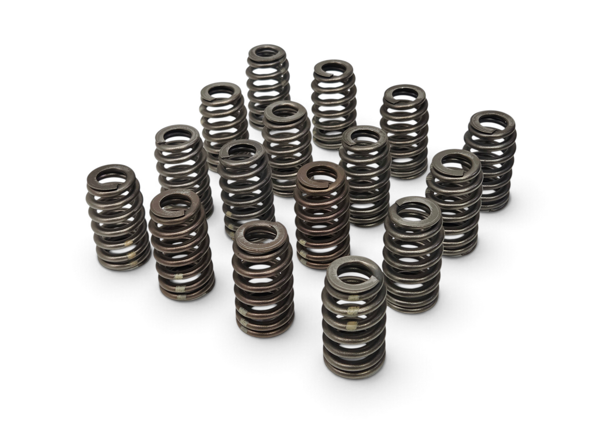 Send it Auto Parts set of 16 OEM beehive valve springs for Chevrolet LS7 7.0L V8 engines.
