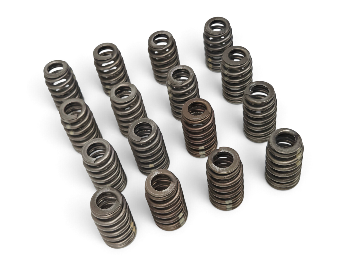 Send it Auto Parts set of 16 OEM beehive valve springs for Chevrolet Corvette C6 Z06 LS7 7.0L V8 engine