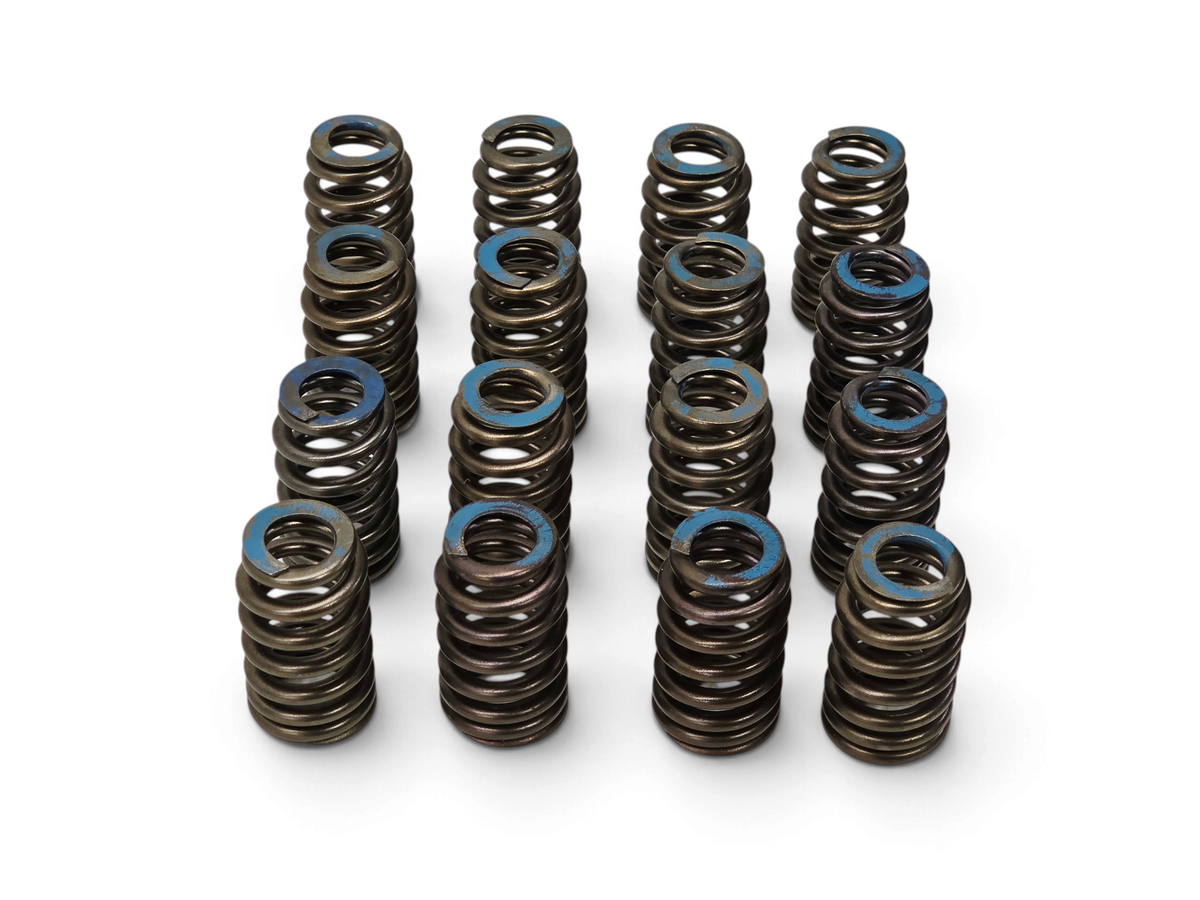 Send it Auto Parts set of 16 OEM GM valve springs for 6.2L LT1 LT4 L86 engines with blue identification paint marks