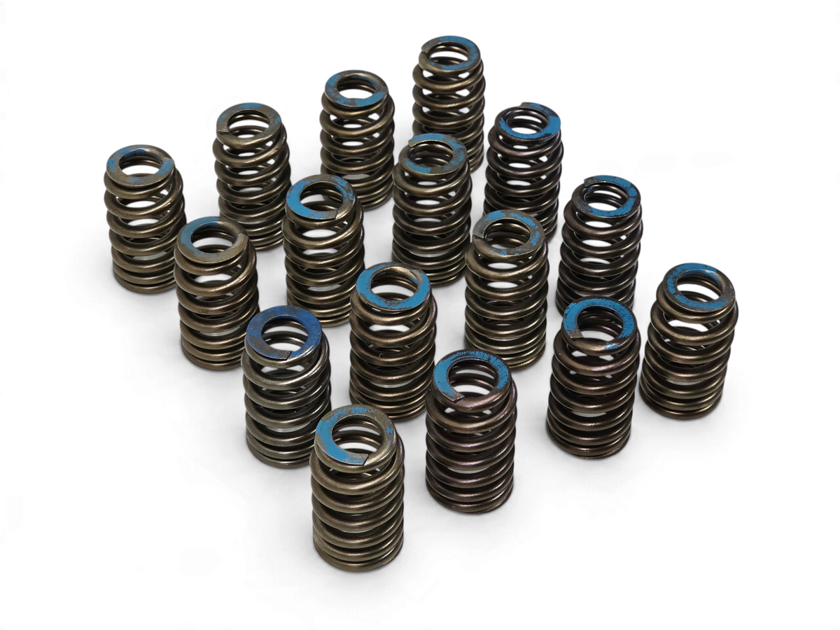 Set of 16 OEM Send it Auto Parts valve springs for 6.2L LT1 and LT4 engines, featuring blue identification markings.