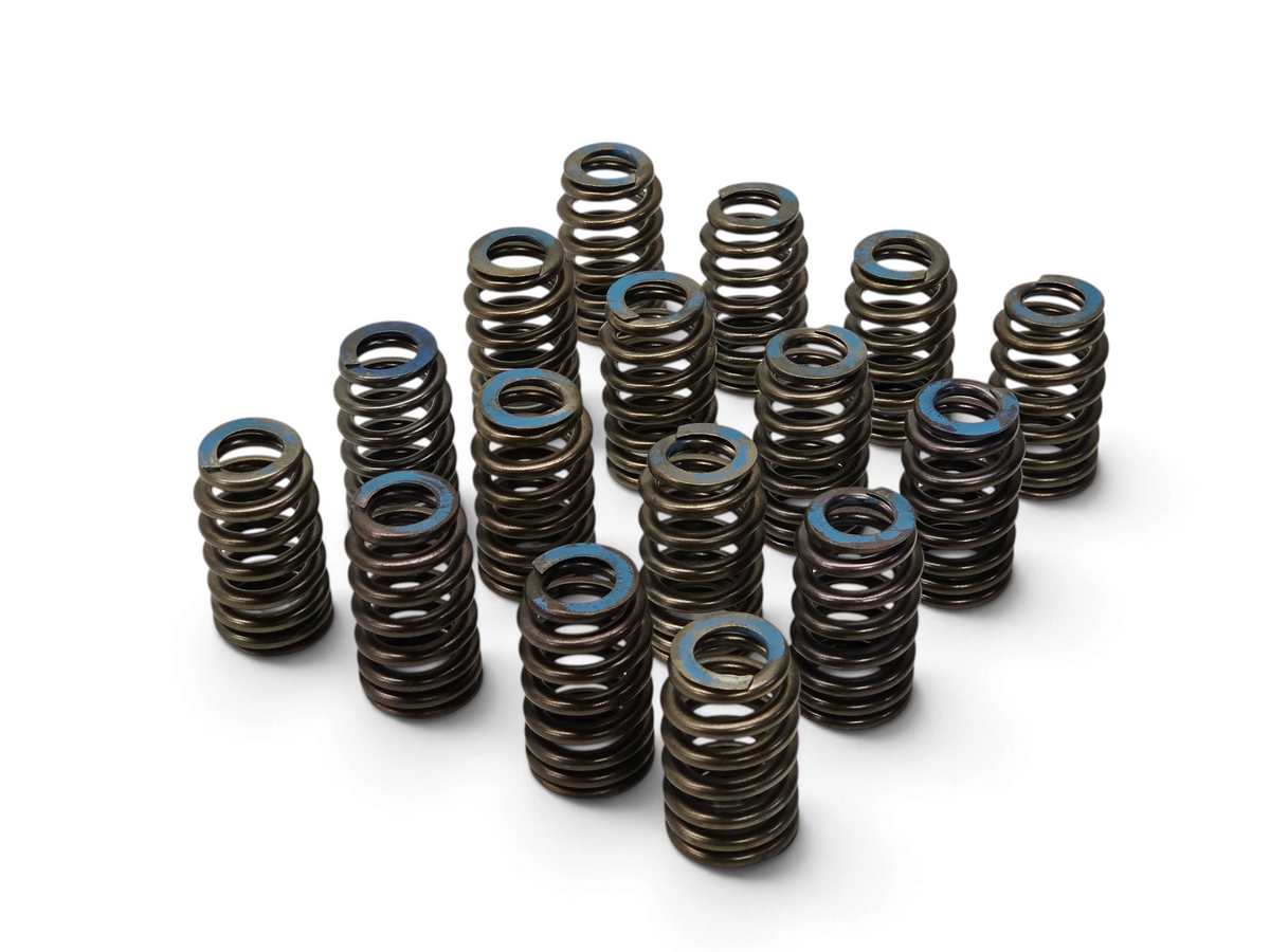 Set of 16 OEM Send it Auto Parts valve springs for 6.2L LT1 LT4 engines, featuring blue paint markings.