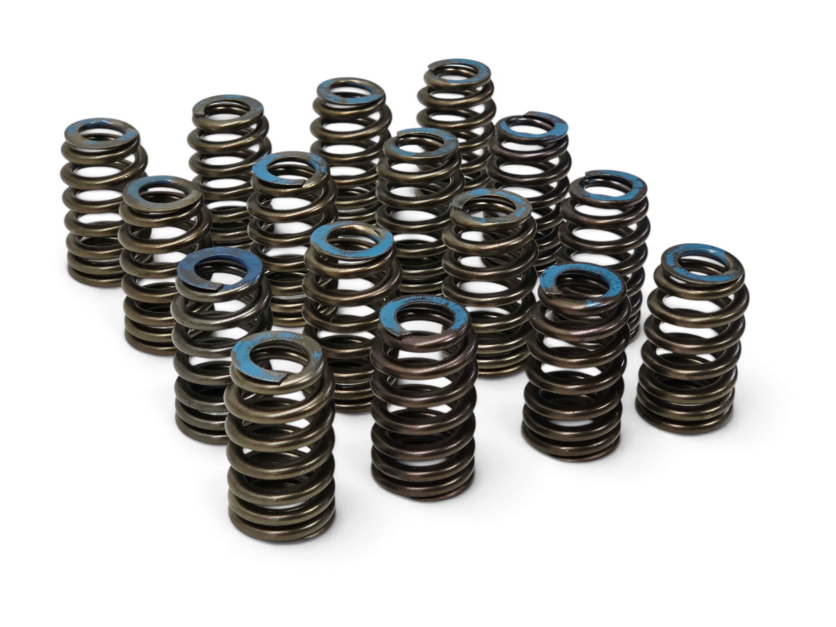 Send it Auto Parts set of 16 OEM GM valve springs for 6.2L LT1 LT4 engines, featuring blue paint markings.